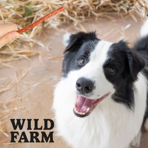 WILD FARM Paluszki Z Kaczką I Ryżem Przysmak Dla Psa 500G