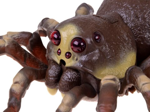 Pająk TARANTULA zdalnie sterowany - funkcja pary wodnej RC0784