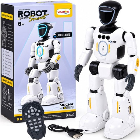 Robot zdalnie sterowany pilotem i gestami - tańczy, śpiewa, mówi RC0808