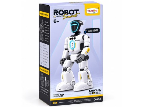 Robot zdalnie sterowany pilotem i gestami - tańczy, śpiewa, mówi RC0808