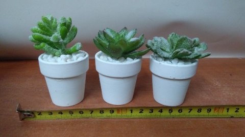 Kaktusy 12szt. w doniczce 18cm | ART15001 Kaktusy 12szt. w doniczce 18cm | ART15001
